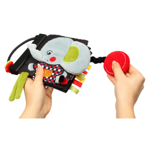 Prvá edukatívna knižka s pískátkom Dream Team C - More Collection