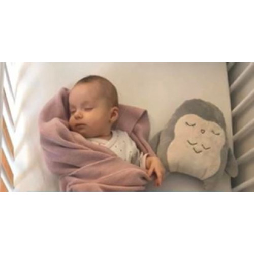 Šumivý mazlík SOVA Hushables - mätový