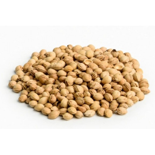 Malý nahrievací vankúšik s čerešňovými kôstkami - Papagáje